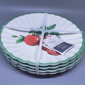 The Farmhouse by Rachel Ashwell Melamine 8” Salad Plate Set of 4 NWT